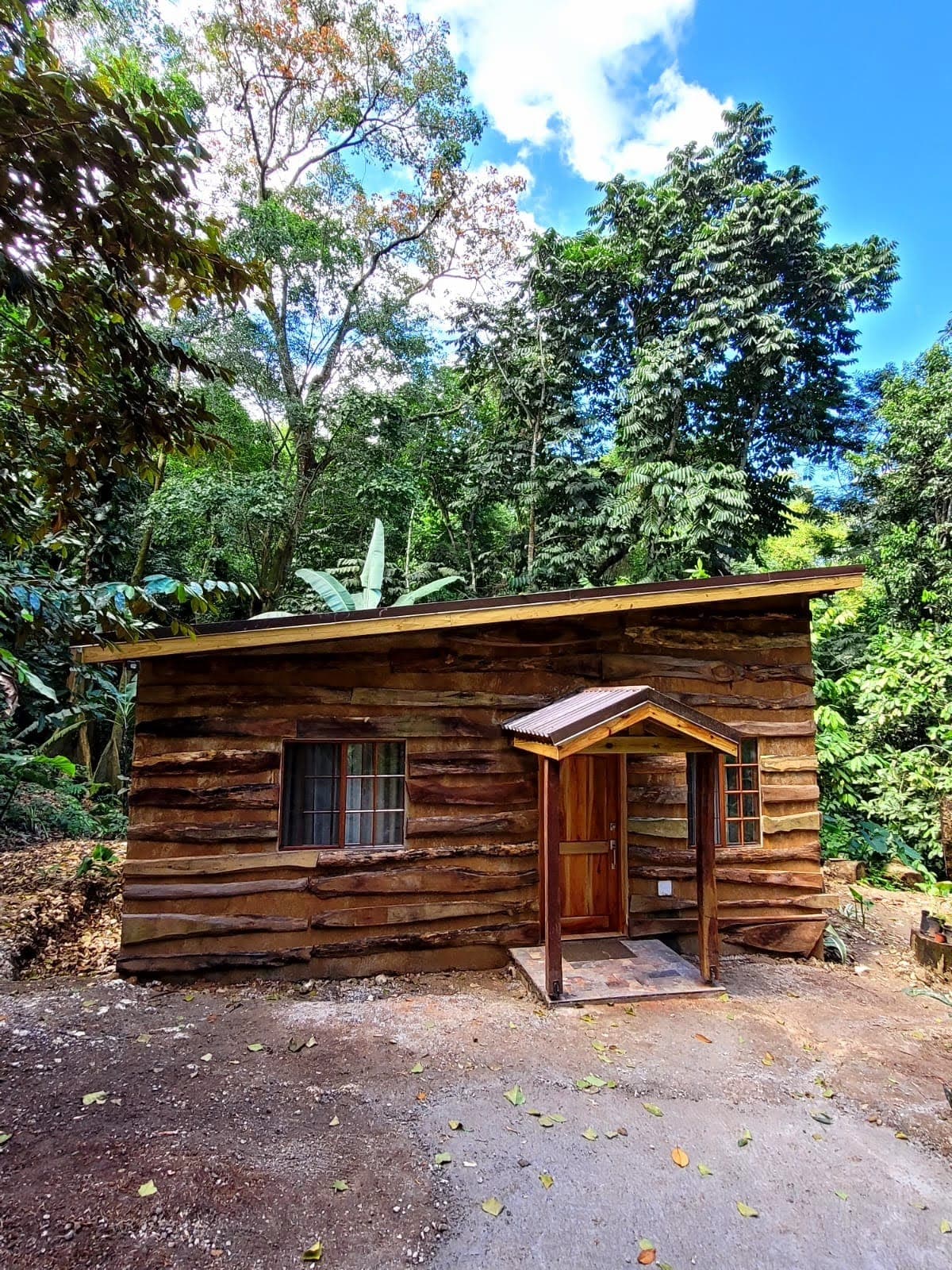 Timber cabin under a bright forest sky