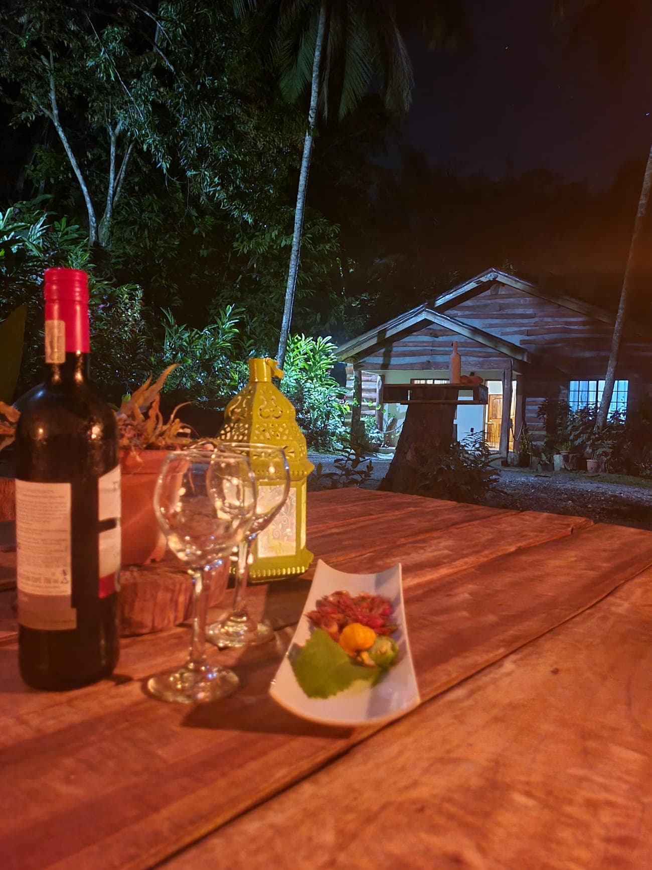 Evening dining on the deck with the cabin lit behind