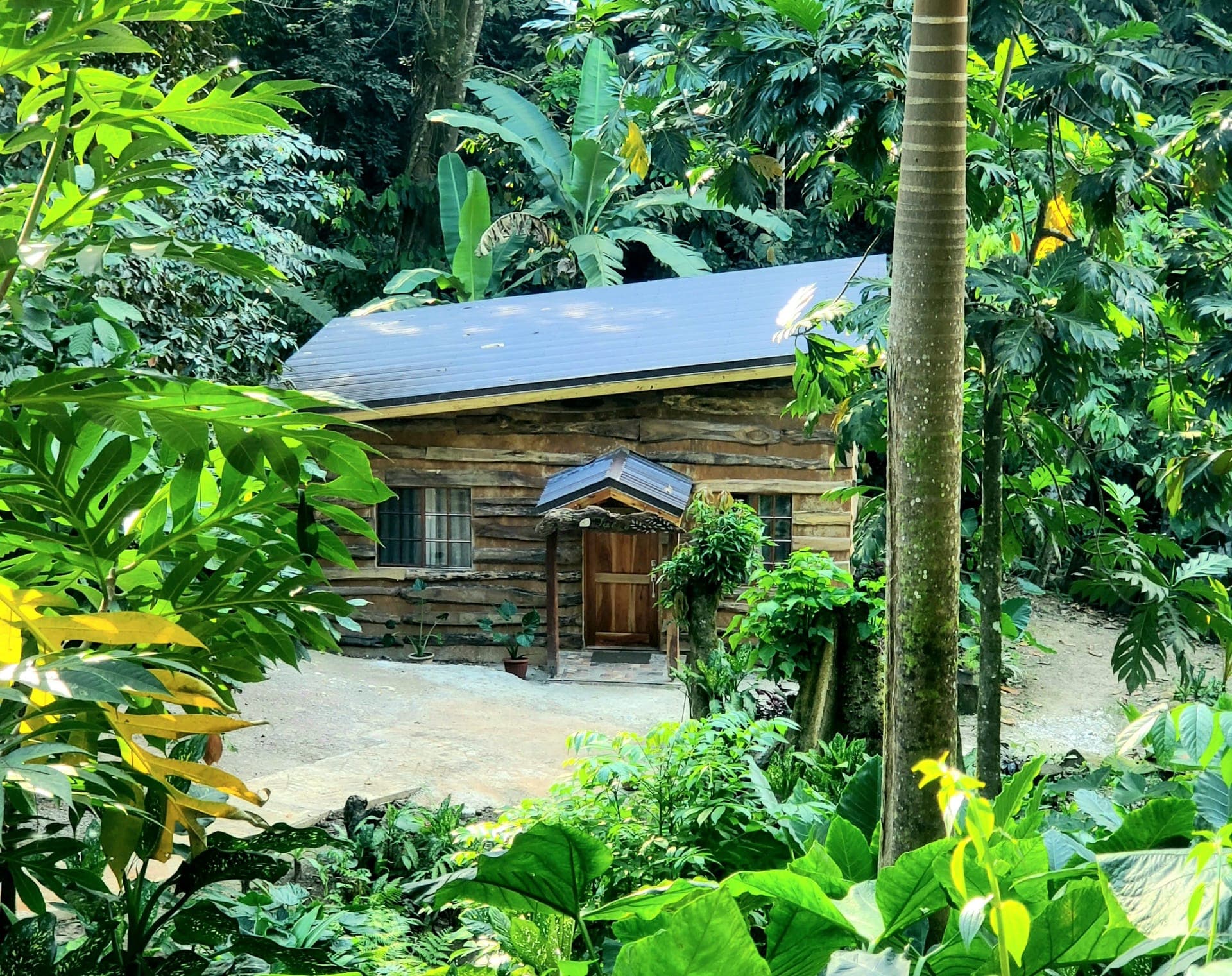 Timber cottage Satori nestled in the rainforest
